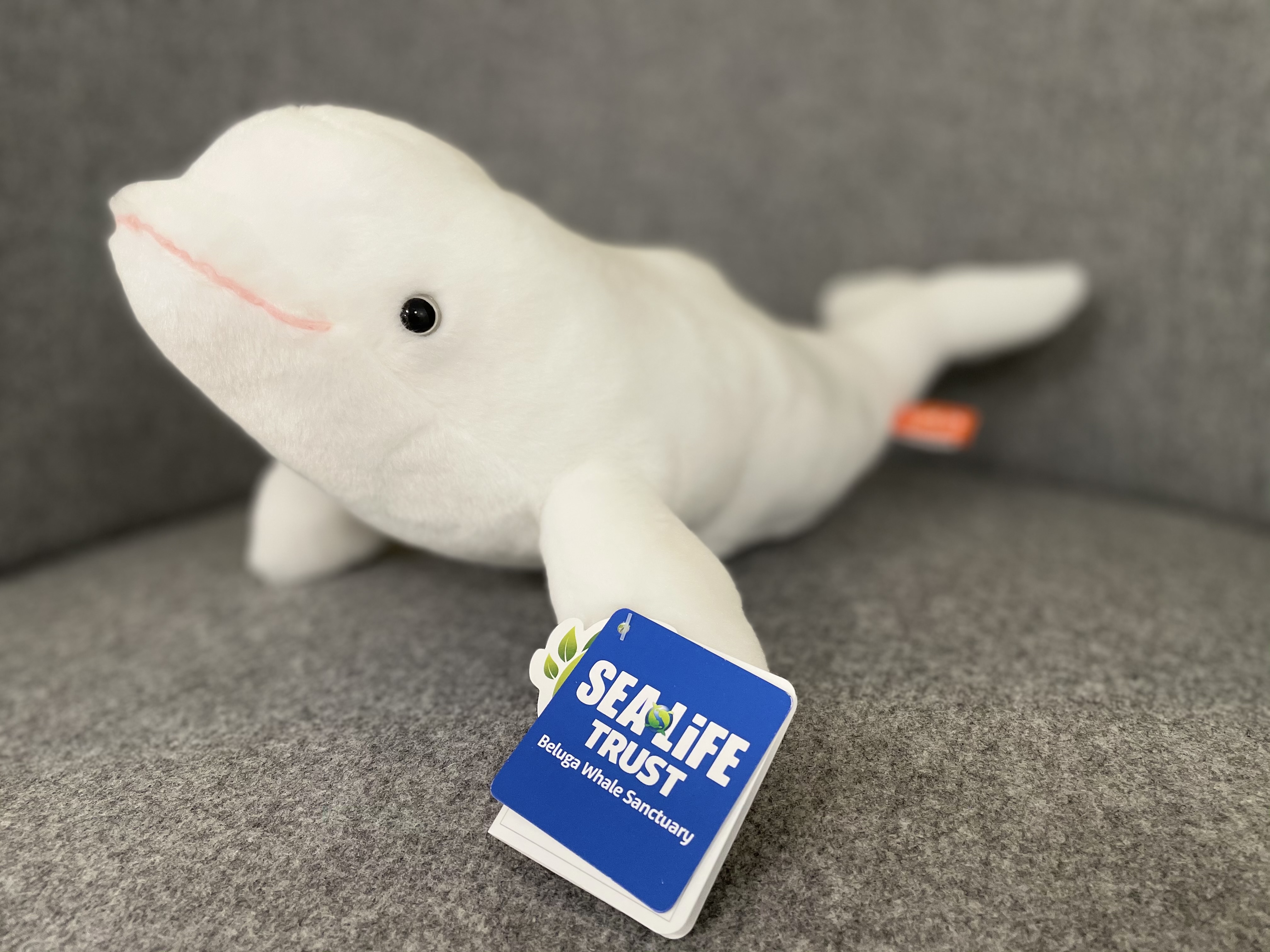 stuffed beluga whale